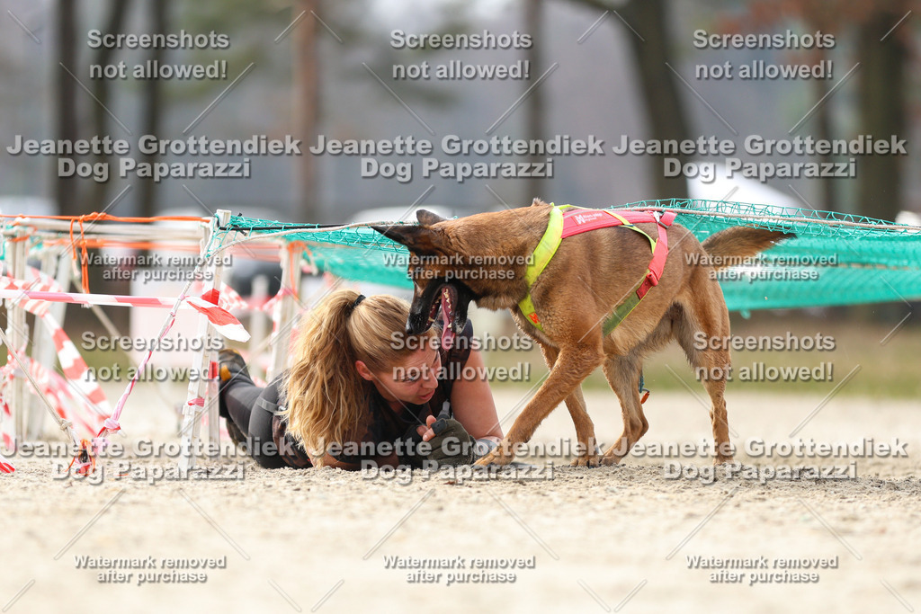 Dog Paparazzi - Strongdog North Mrz26-5423 | Dog Paparazzi Jeanette Grottendiek Fotografie & Videografie - Realisiert mit Pictrs.com
