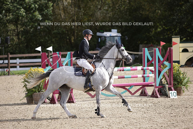 1J2A8828Hannes Ahlmann_ Cool Design 8_ Kn293_ Havekost | Foto- und Videografie für alles rund ums Pferd. Hochwertige Bilder und Videos vom Spring- und Dressurreiten, Voltigieren & mehr. Jetzt aktuelle Veranstaltungen und Preise im Shop ansehen. - Realisiert mit Pictrs.com