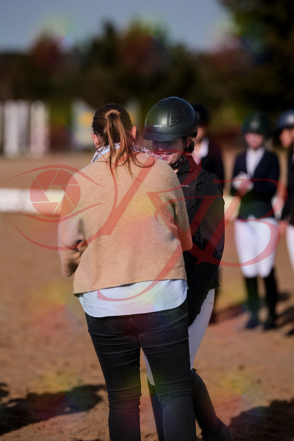 2026_10_03_Siefer-Hof_124658_Z81_38085949 | Professionelle Reitsport-, Turnier- und Eventfotografie von Robert Broda. Galerien mit ausgewählten und bearbeiteten Bildern direkt online ansehen und bestellen.