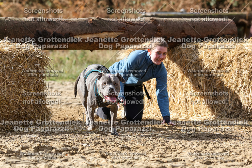 Dog Paparazzi - Strongdog 10-25-4983 | Dog Paparazzi Jeanette Grottendiek Fotografie & Videografie - Realisiert mit Pictrs.com