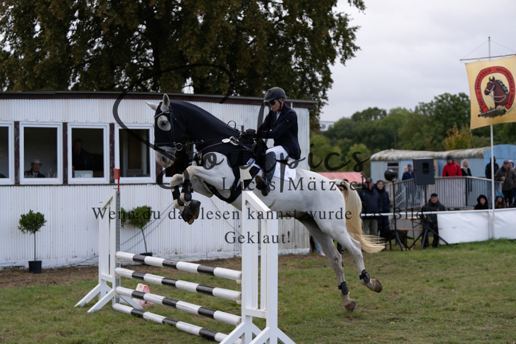 A7V06426 | Pferdefotograf