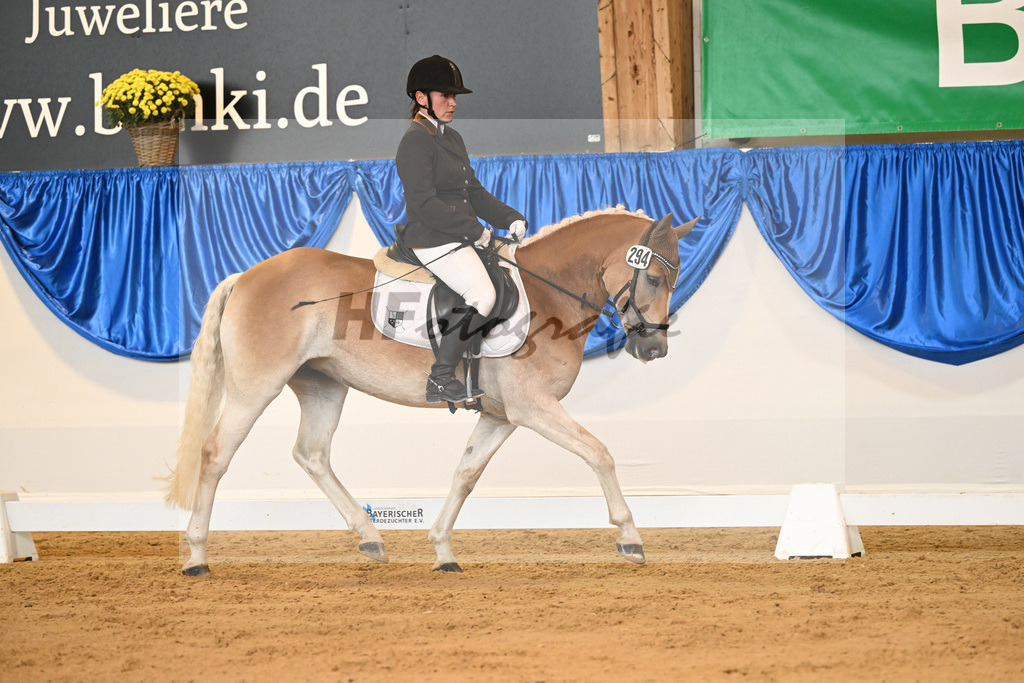 Kat-Nr. 294 High Nobility B_Bonitz_54221746 | hf-fotografie - Realisiert mit Pictrs.com