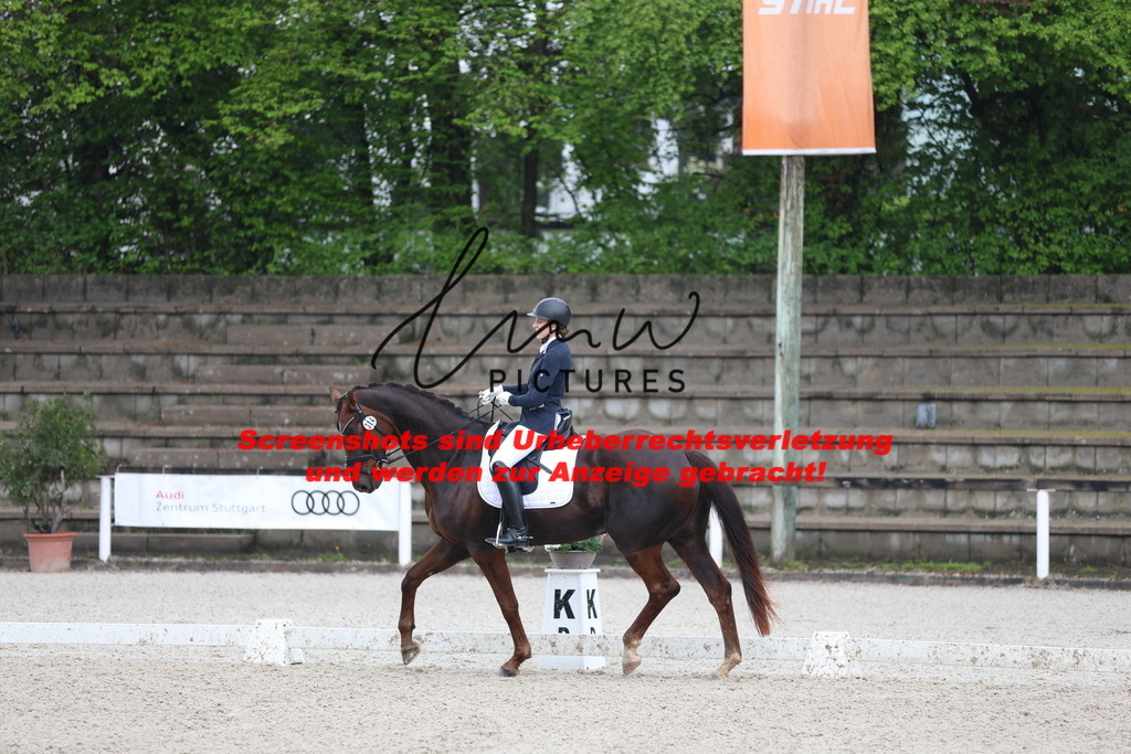 A40A8742 | lmwpictures - Realisiert mit Pictrs.com