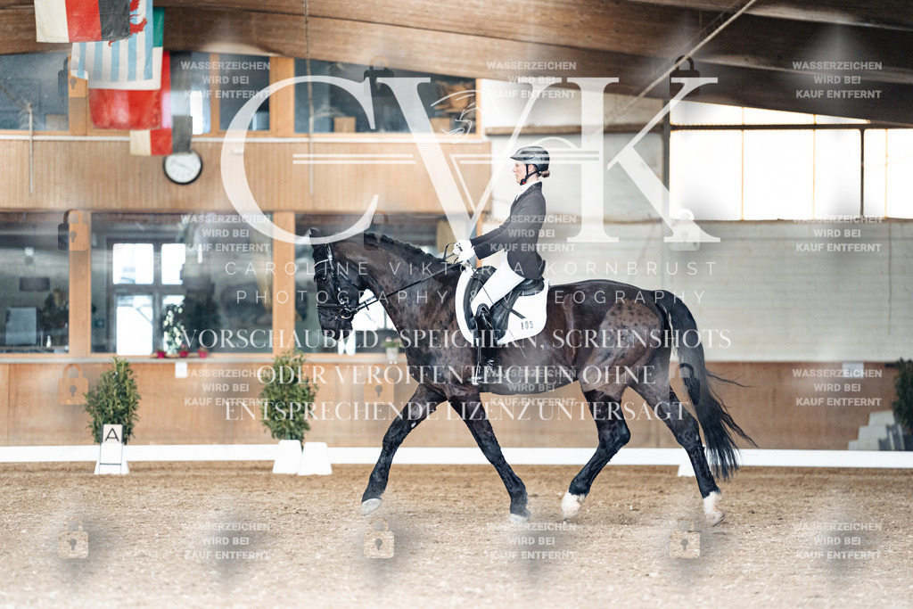 CK902122 | Turnierfotografie Pferdefotografie Trier Rheinland-Pfalz Pferdesport Reitsport Tierfotografie Sportfotografie Pferdevideo Pferdevideografie Equestrianvideography equestrianphotography  - Realisiert mit Pictrs.com