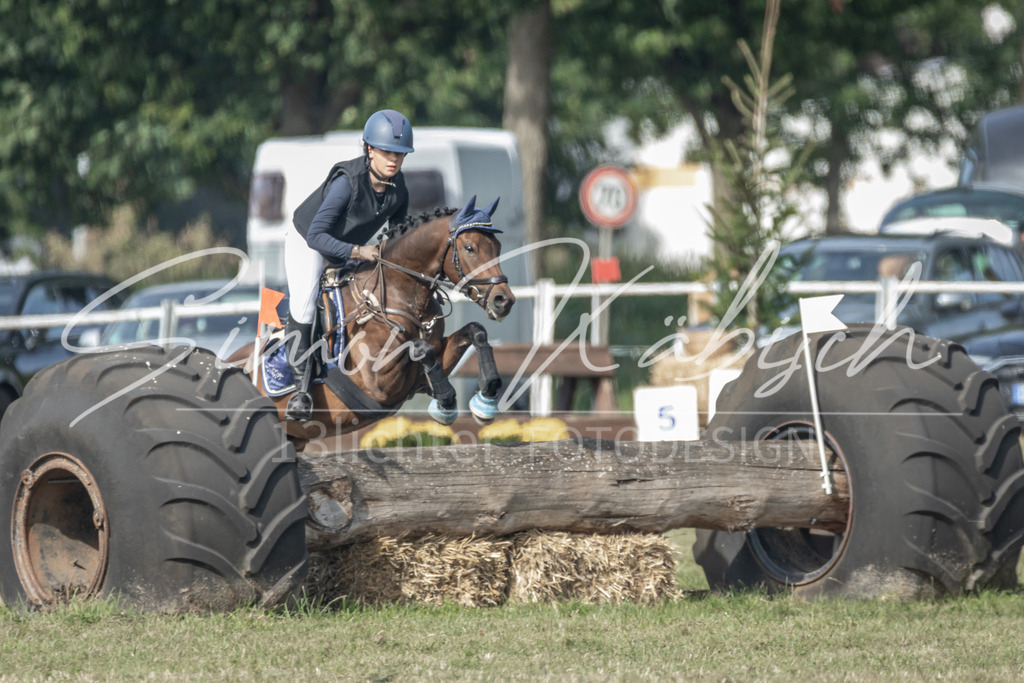 20250907-_3LR7858 | Tierfotografie Pferde, Hunde, Katzen, Haustiere.
Turnierfotografie Reitturniere, Reiten, Springreiten, Dressur in Hanau, dem Main-Kinzig-Kreis und dem Rhein-Main- Gebiet um Frankfurt