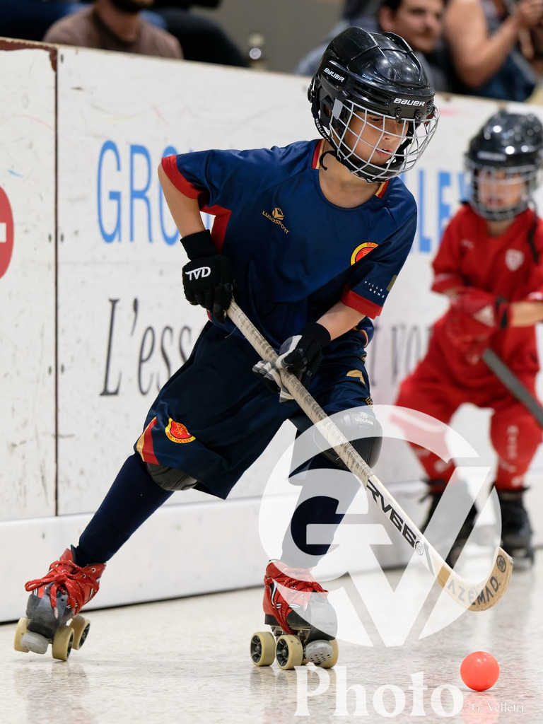 DZ9_3702 | Velletri Photo