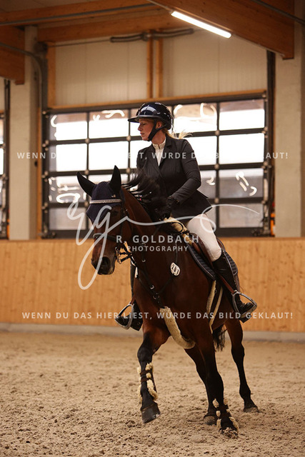 1J2A3826Sarah May_ Daiquirih_ Kn201_ Hohen Wieschendorf_ Glantz | Foto- und Videografie für alles rund ums Pferd. Hochwertige Bilder und Videos vom Spring- und Dressurreiten, Voltigieren & mehr. Jetzt aktuelle Veranstaltungen und Preise im Shop ansehen. - Realisiert mit Pictrs.com