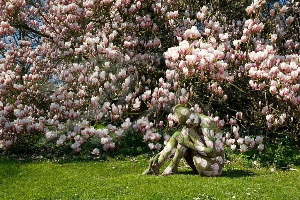 NatureArt-MAGNOLIEN_8519 | Auf dem Rasen vor der Magnolie | #015 | Modell: Daniela | Foto: Tschiponnique Skupin - Realisiert mit Pictrs.com