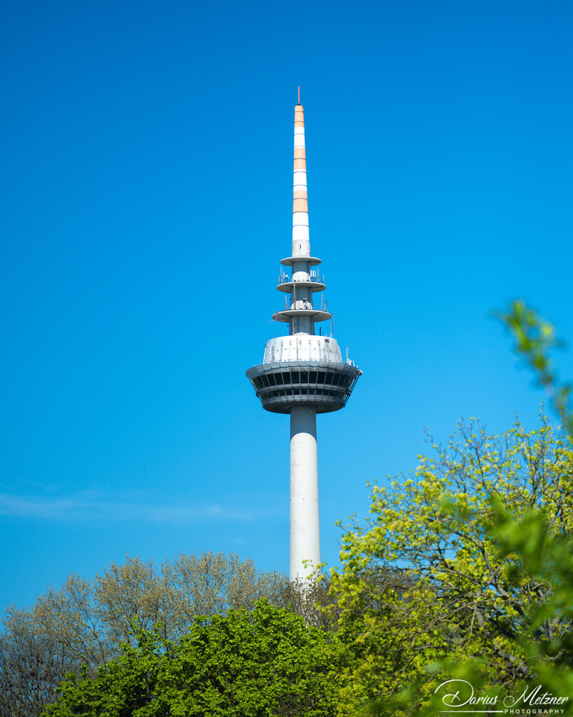 Mannheim | Bilder aus Mannheim