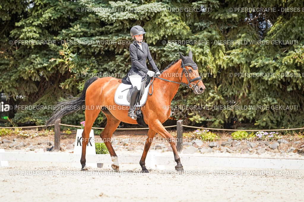 DSC03325 | Pferdegrafie