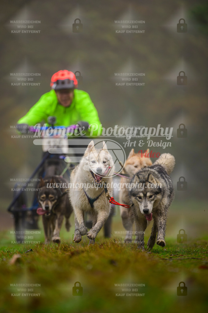 MompixPhotography_Bischwiller2025_Kart-31 | mompixphotography