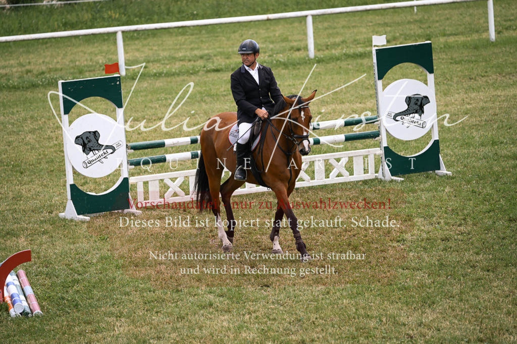 DSC_9401 | Pferde- und Turnierfotografie in Westsachsen. Pferdeportraits, Auftragszeichnungen und intuitive Kunst.