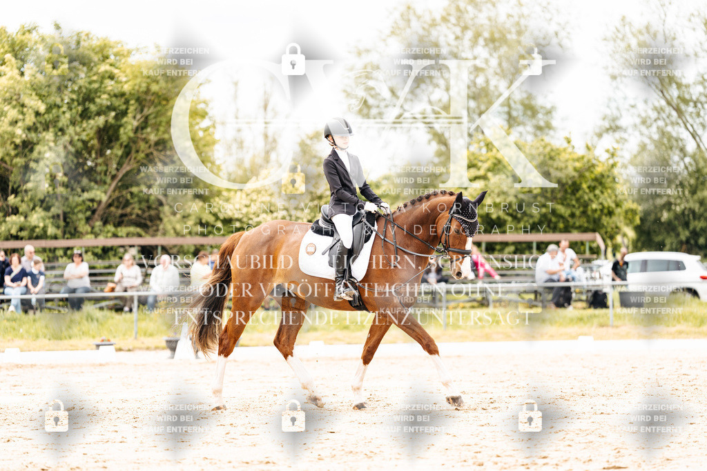 CK902939 | Turnierfotografie Pferdefotografie Trier Rheinland-Pfalz Pferdesport Reitsport Tierfotografie Sportfotografie Pferdevideo Pferdevideografie Equestrianvideography equestrianphotography  - Realisiert mit Pictrs.com