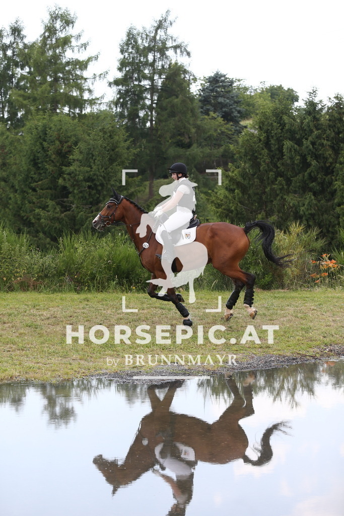 DL2Q2538 | Willkommen bei Brunnmayr - Design & Fotografie – Ihrem Spezialisten für Reitturniere und Pferdeveranstaltungen in Oberösterreich, Salzburg und Bayern! Seit über 17 Jahren sind wir leidenschaftlich dabei.