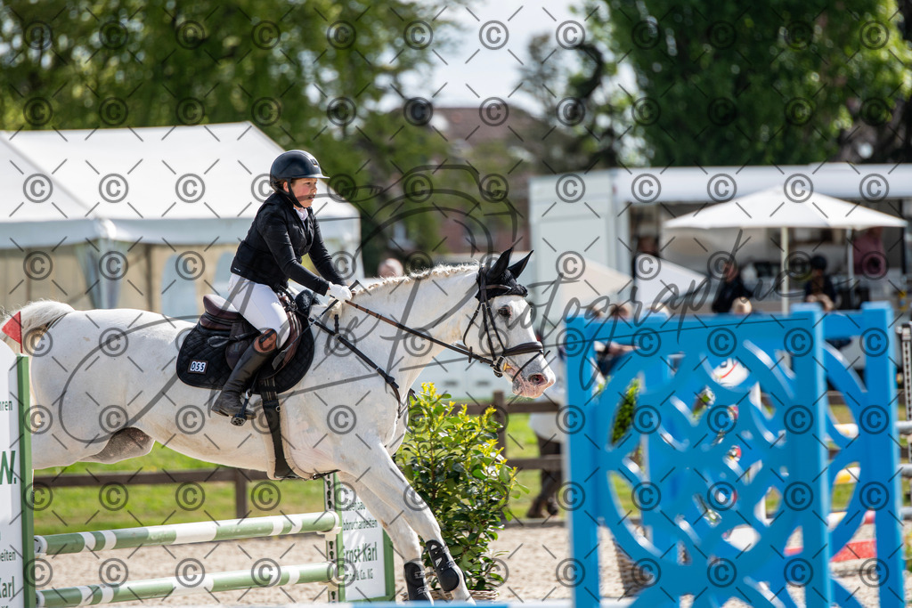 KPT_4781 | andre_photographic