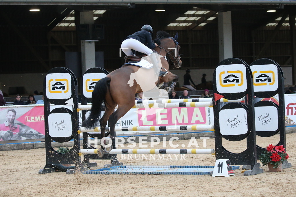 DL2Q6515 | Willkommen bei Brunnmayr - Design & Fotografie – Ihrem Spezialisten für Reitturniere und Pferdeveranstaltungen in Oberösterreich, Salzburg und Bayern! Seit über 17 Jahren sind wir leidenschaftlich dabei.