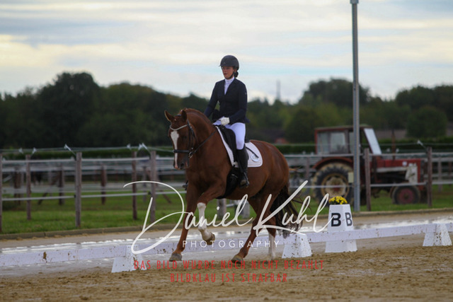 DKP43749 | Turniersportfotografie; Pferdefotografie; Dressurfotografie