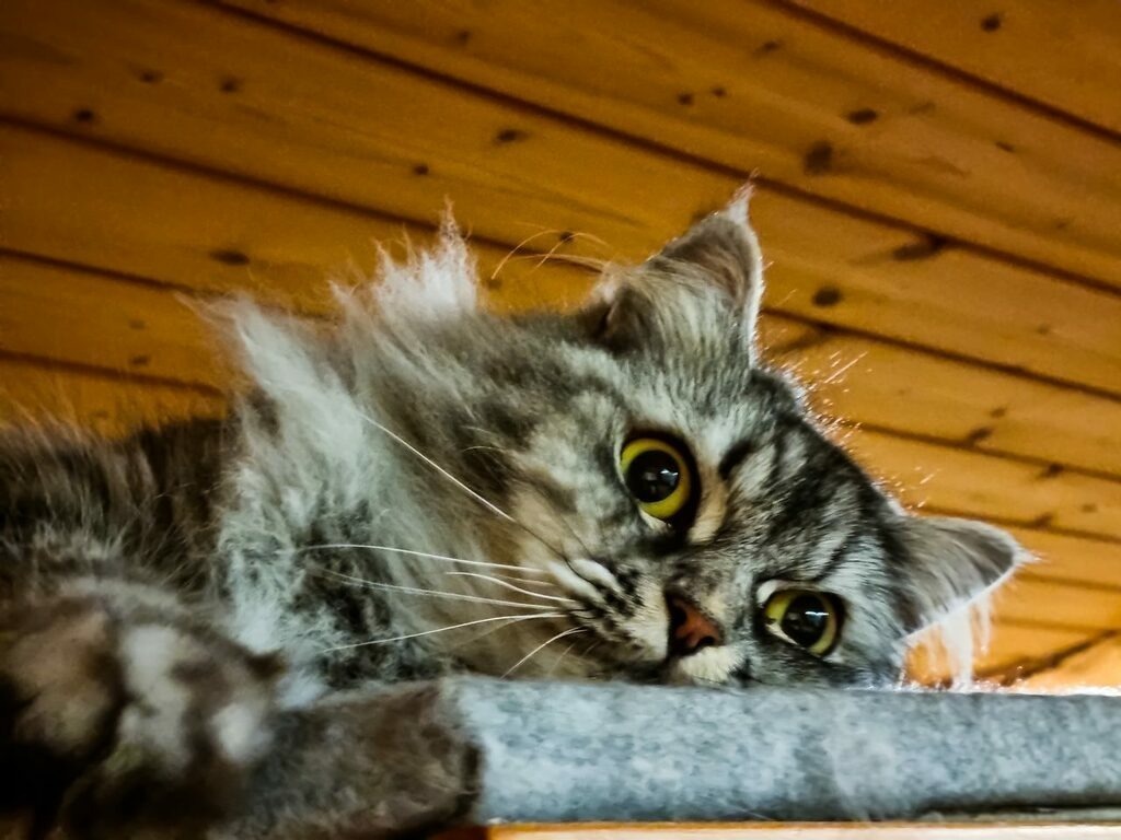 PSX_20220828_225523 | mtkfoto_ - Realisiert mit Pictrs.com