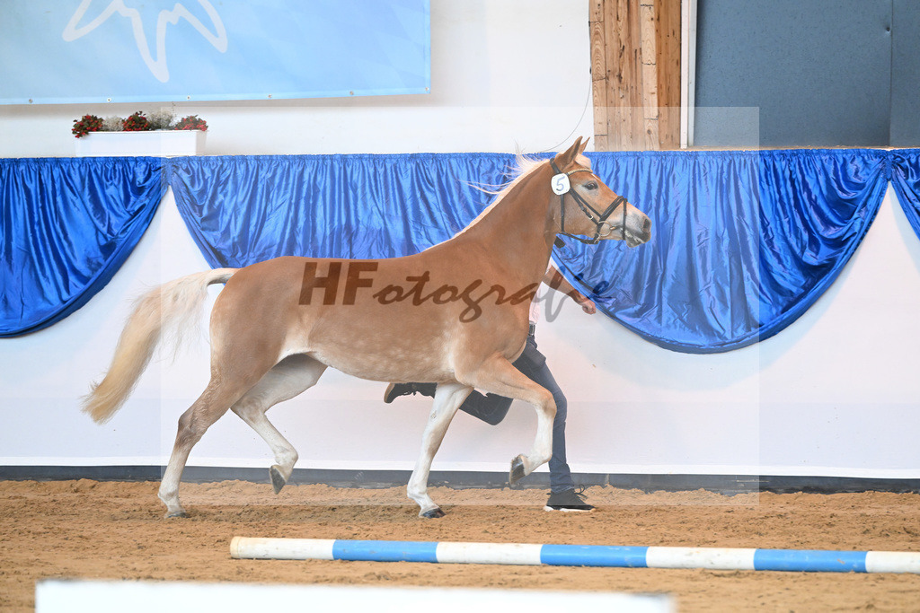 Kat-Nr. 5 Wayana v. Starkwind_Aigner_60221080 | hf-fotografie - Realizzato con Pictrs.com