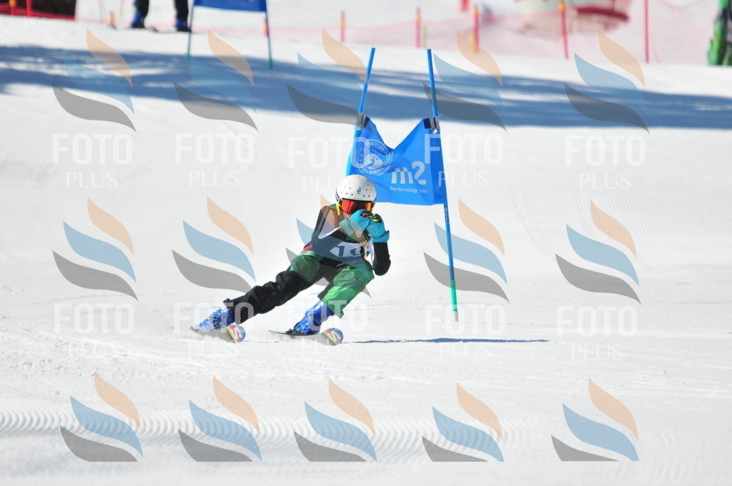 C3663 | holidayphoto