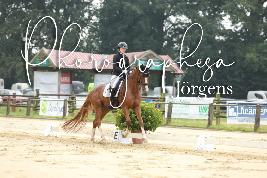 IMG_4935 | photographesa-joergens - Realisiert mit Pictrs.com