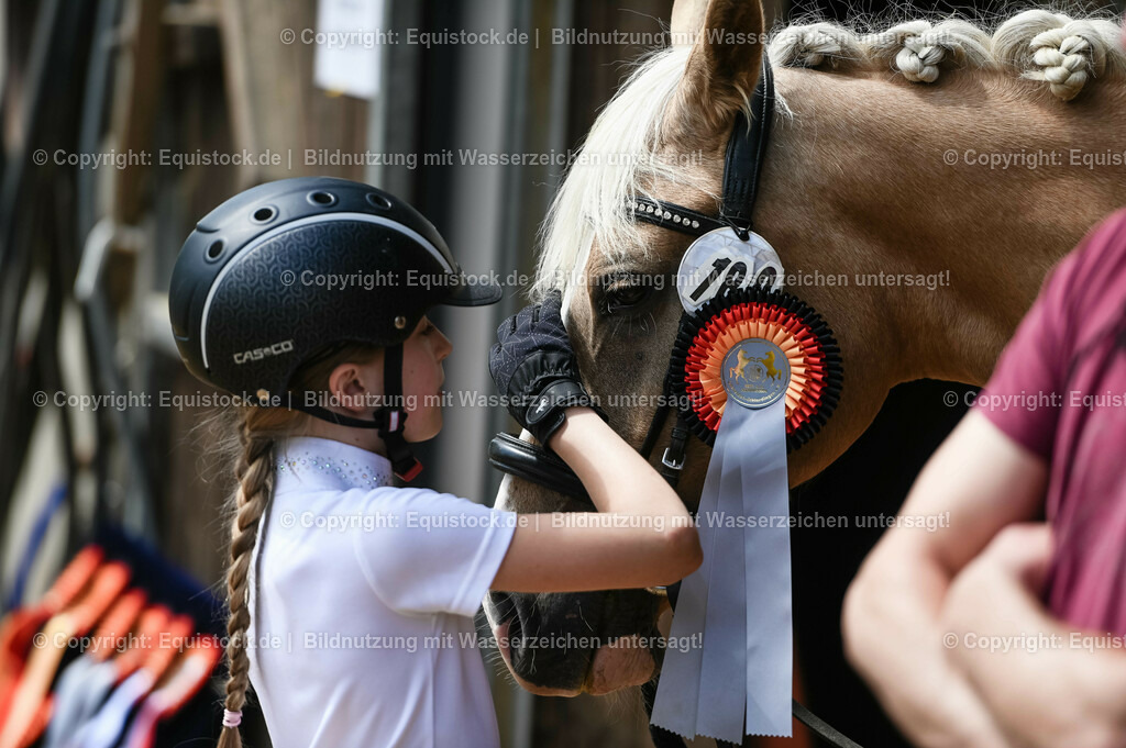 20230716_11_Führzügel-WB_0235 | equistock