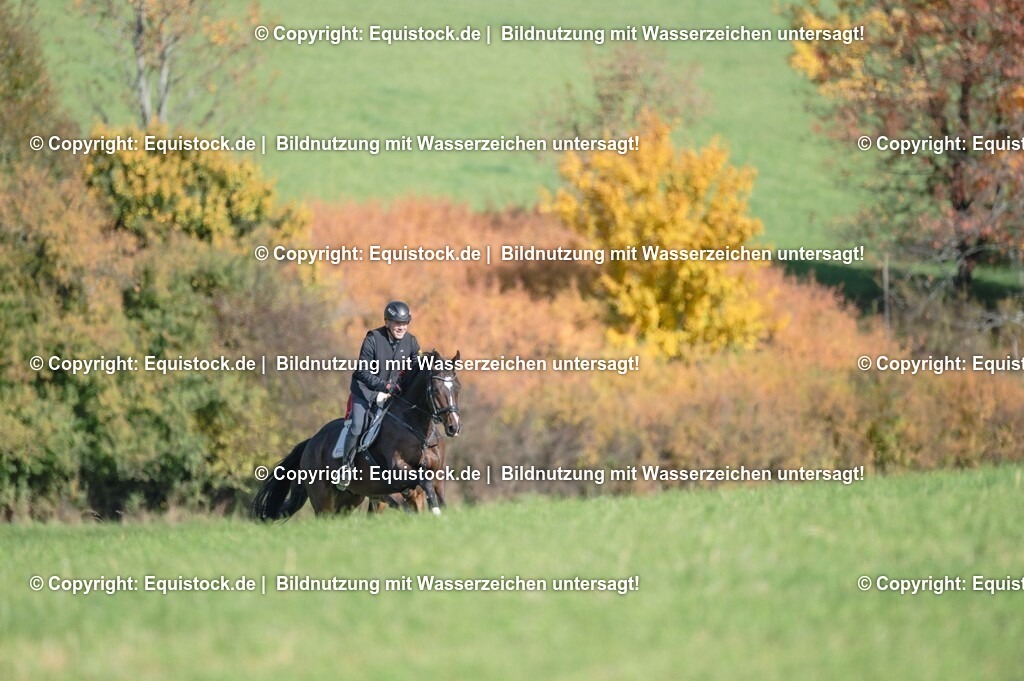 20251011_Jagd-Marbach_0330 | Foto: Thomas Hartig