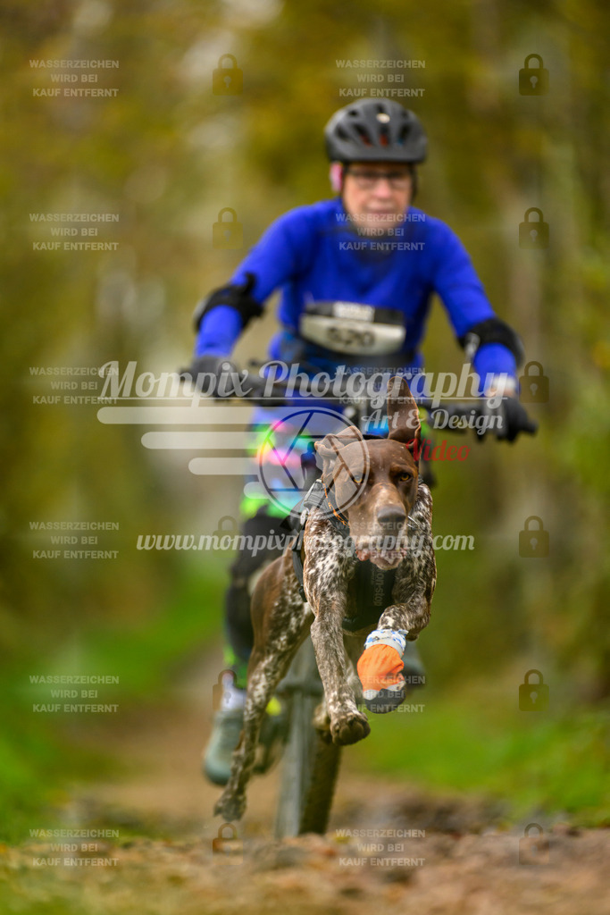 MompixPhotography_20TSB_E6_Bike-85 | mompixphotography