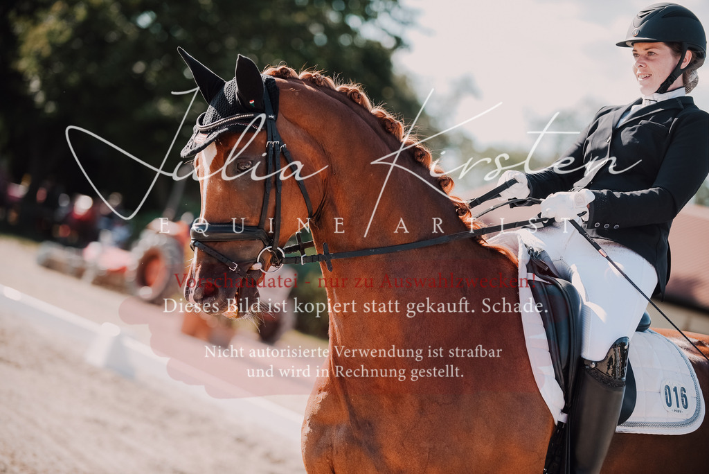 DSC_0432 | Pferde- und Turnierfotografie in Westsachsen. Pferdeportraits, Auftragszeichnungen und intuitive Kunst.