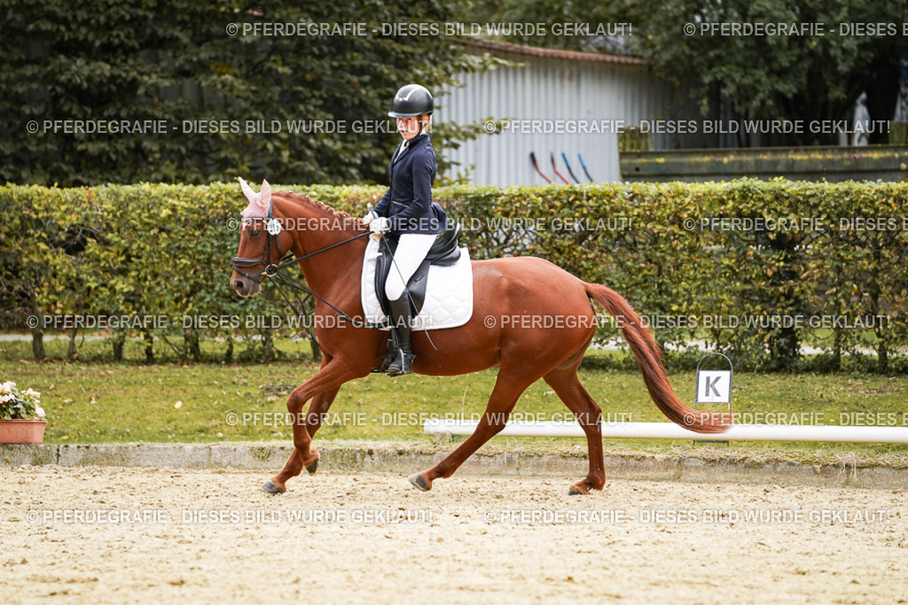 DSC09615 | Pferdegrafie