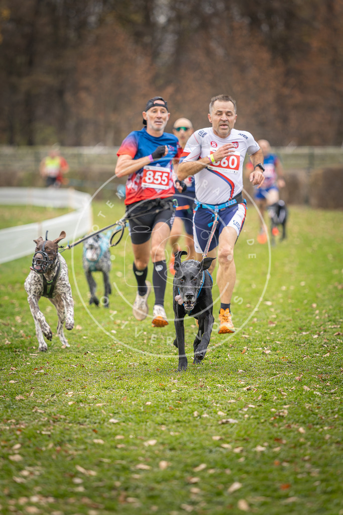 CaniXpix_DV3A6621 | Hundefotografie, Tierfotograf, Pfotenfotografie, Fotoshooting Hund, Hunde Portrait, Hundesport, Hundeportraits, Heideshooting, Hunde, Sportfotograf, Hundefotograf, Turnierhundsport, THS,  - Realisiert mit Pictrs.com