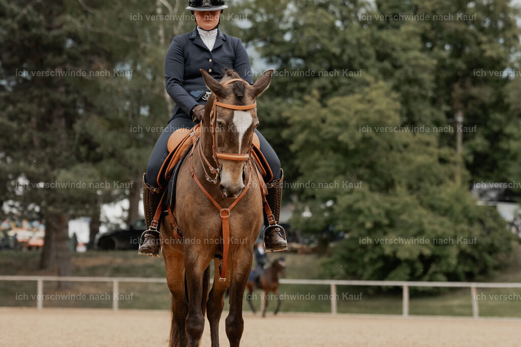 WE_DR_Stoib_329_PI2025_847 | Pferd International München 2025