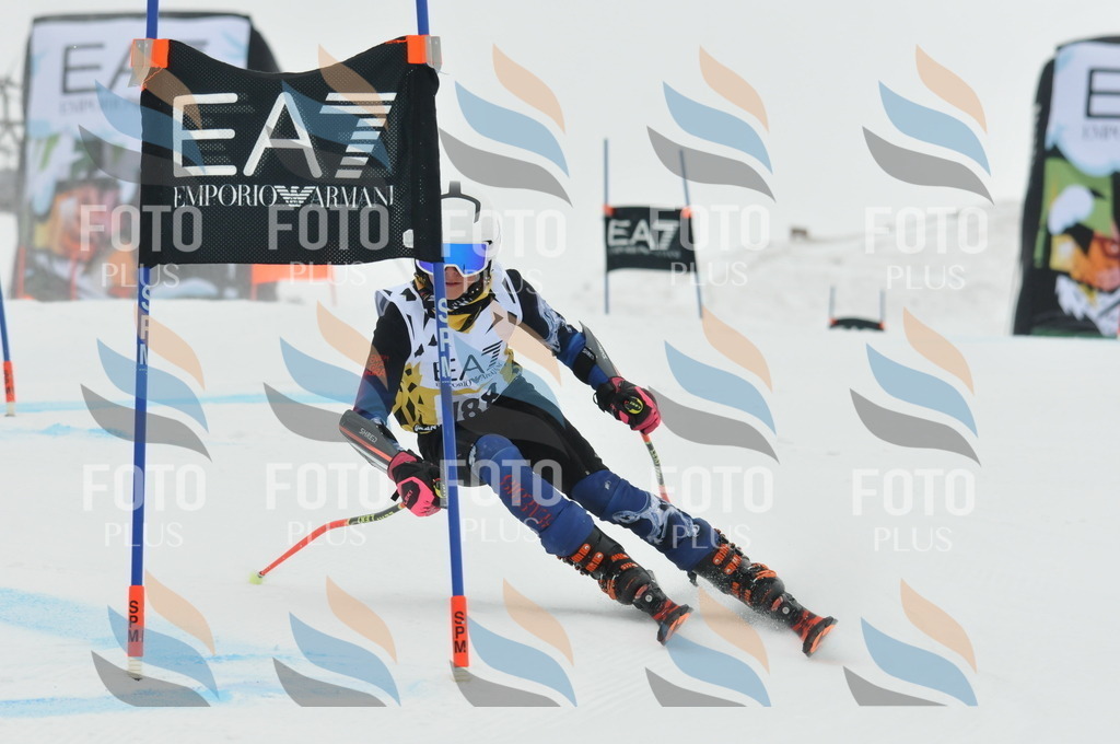 DSC_8726 | holidayphoto