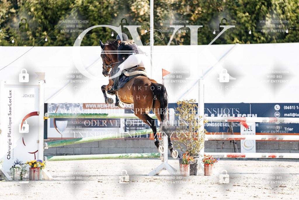 CK901758 | Turnierfotografie Pferdefotografie Trier Rheinland-Pfalz Pferdesport Reitsport Tierfotografie Sportfotografie Pferdevideo Pferdevideografie Equestrianvideography equestrianphotography  - Realisiert mit Pictrs.com
