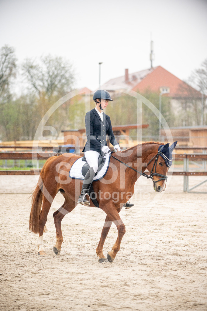 DSC_4136 | sattelsport - Realisiert mit Pictrs.com