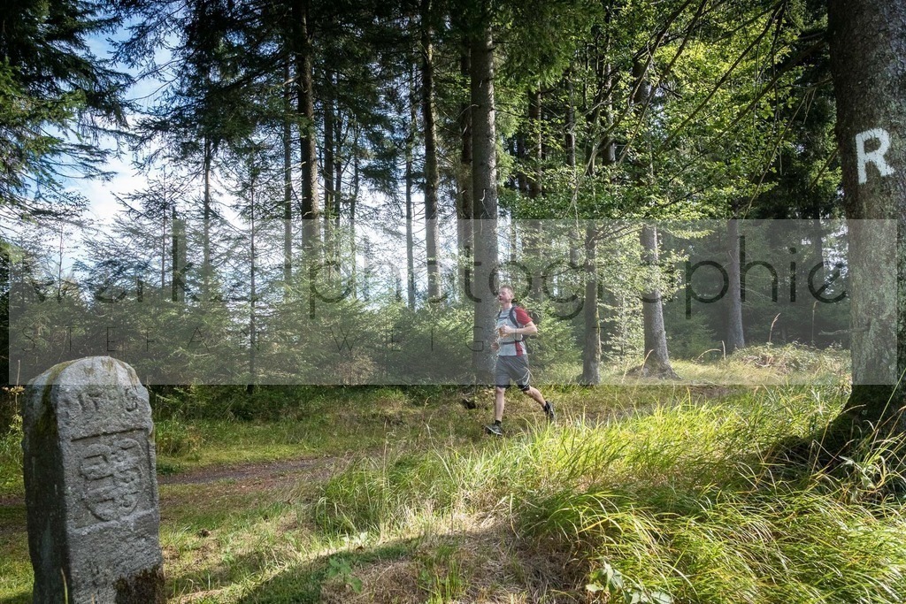 Herbstlauf | Neuhaus/Rwg. - Masserberg am 3. Oktober 2020