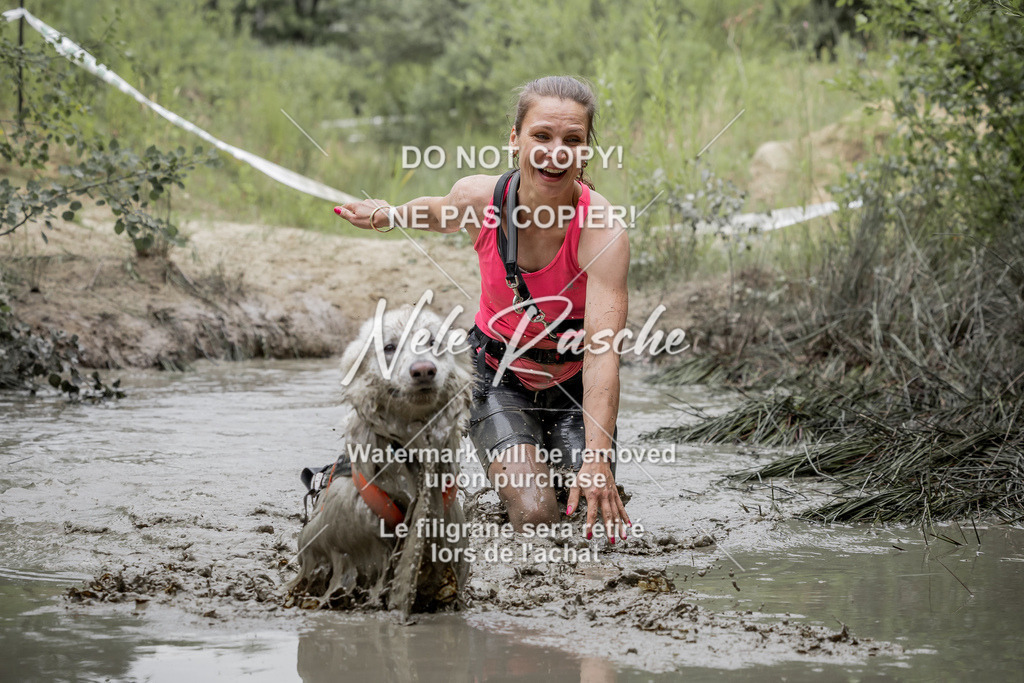 nelerasche_1400-1445_143 | nelerasche