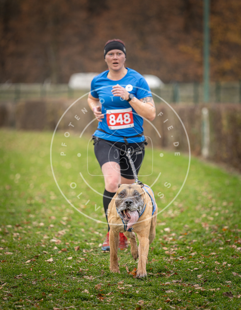 CaniXpix_DV3A6529 | Hundefotografie, Tierfotograf, Pfotenfotografie, Fotoshooting Hund, Hunde Portrait, Hundesport, Hundeportraits, Heideshooting, Hunde, Sportfotograf, Hundefotograf, Turnierhundsport, THS,  - Realisiert mit Pictrs.com