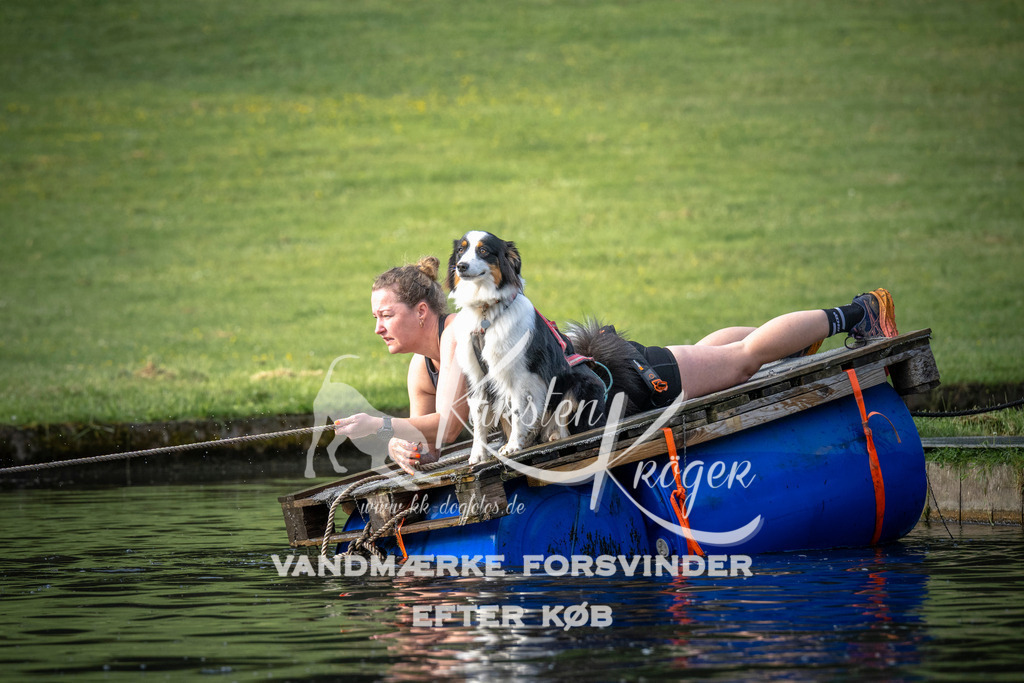 _ZZ937310708 | kk-dogfotos