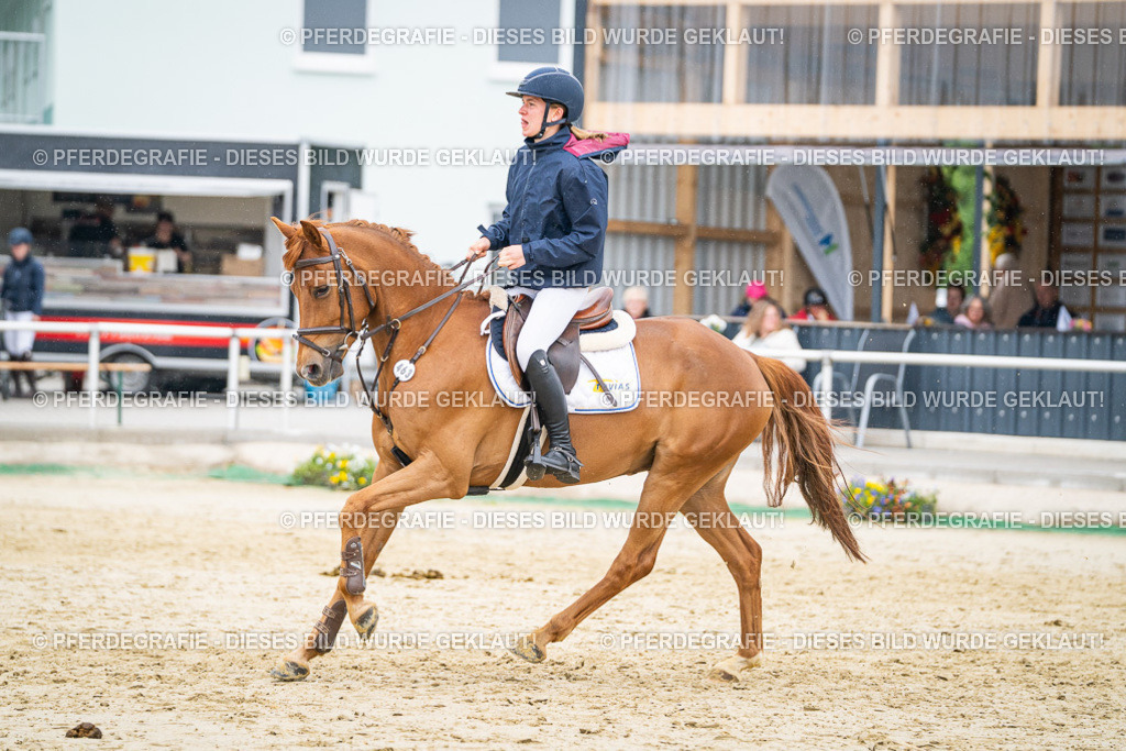 DSC00939 | Pferdegrafie