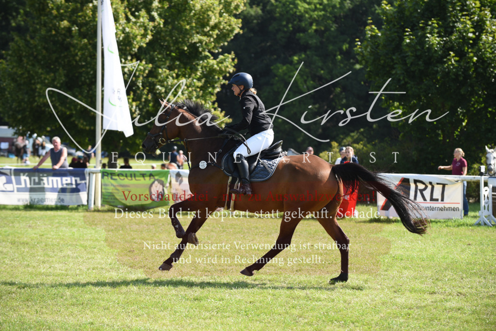 DSC_9108 | Pferde- und Turnierfotografie in Westsachsen. Pferdeportraits, Auftragszeichnungen und intuitive Kunst.