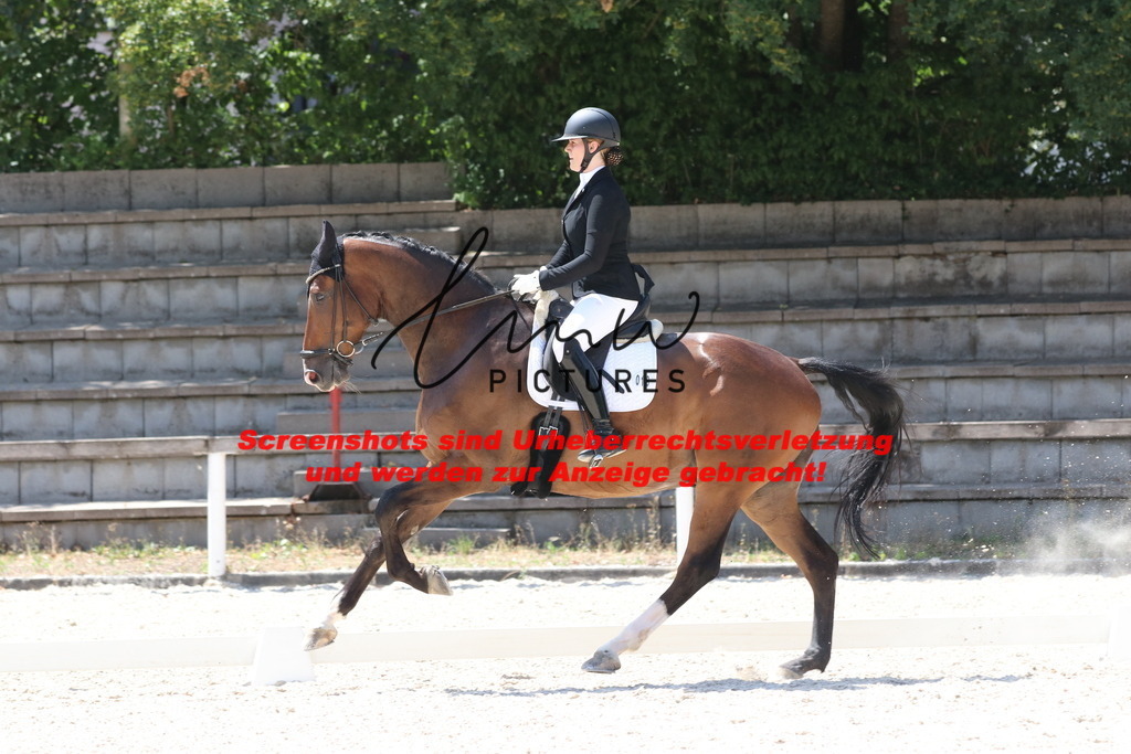 IMG_4898 | lmwpictures - Realisiert mit Pictrs.com