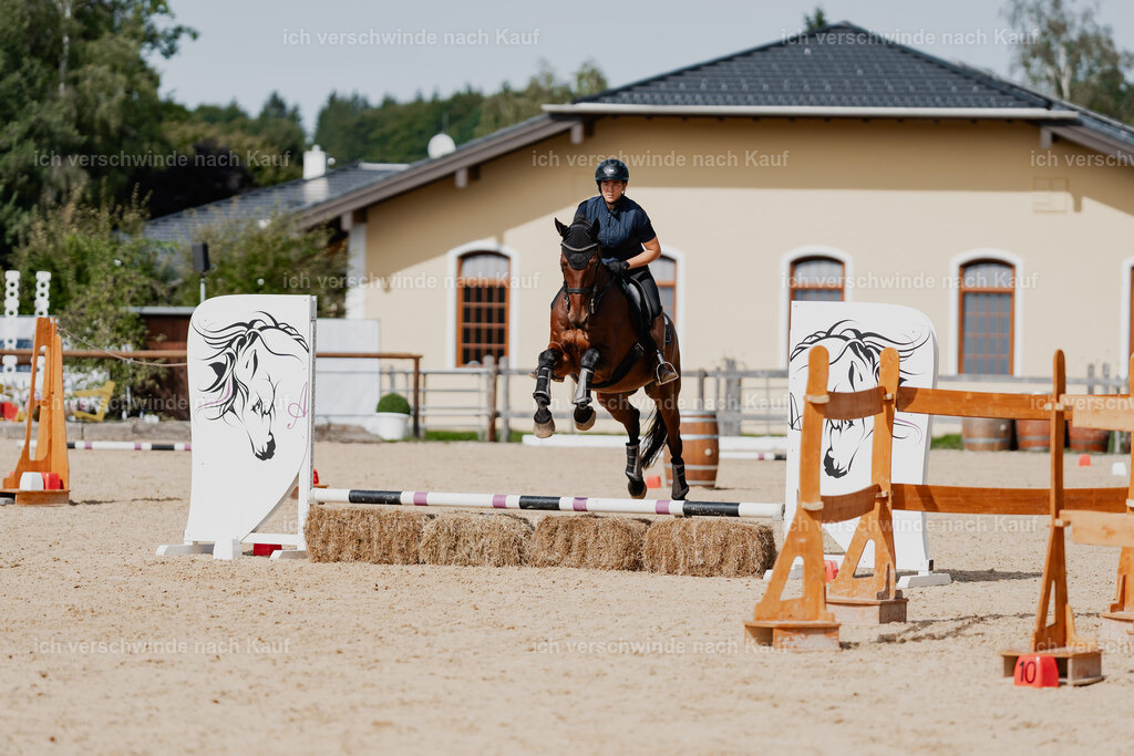 Nadine22_FHC2025-139 | working equitationturnier fotograf videograf stoibphotography marixx film working equitation deutschland reitsport turnierfotografie eventfotografie equestrian events
