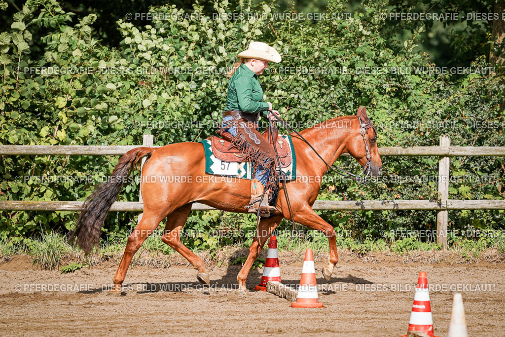 DSC00116 | Pferdegrafie