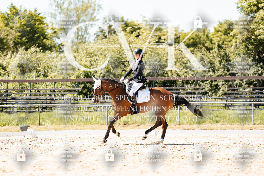 CK905911 | Turnierfotografie Pferdefotografie Trier Rheinland-Pfalz Pferdesport Reitsport Tierfotografie Sportfotografie Pferdevideo Pferdevideografie Equestrianvideography equestrianphotography  - Realisiert mit Pictrs.com