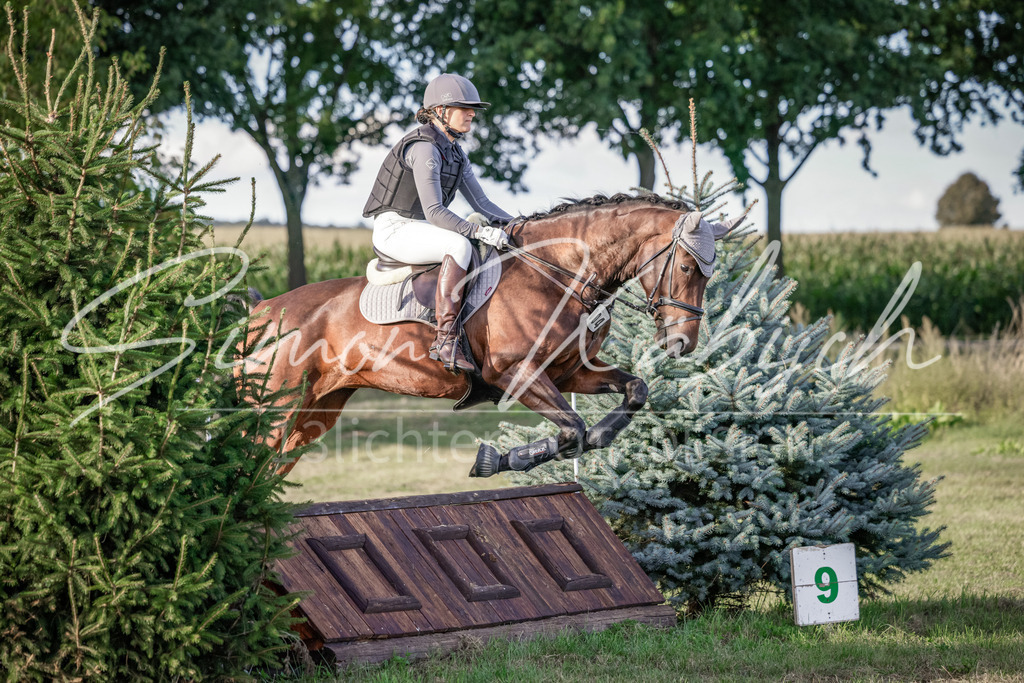 20250906-_3LI7848 | Tierfotografie Pferde, Hunde, Katzen, Haustiere.
Turnierfotografie Reitturniere, Reiten, Springreiten, Dressur in Hanau, dem Main-Kinzig-Kreis und dem Rhein-Main- Gebiet um Frankfurt