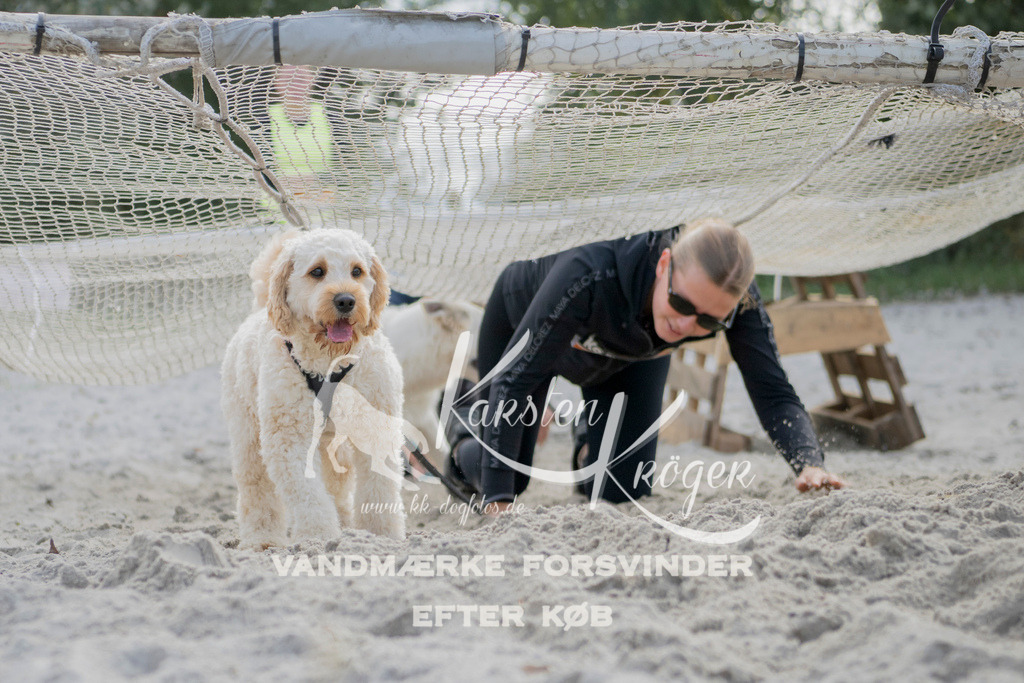 1330_ZZ97228 | kk-dogfotos