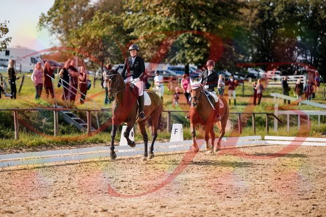 2026_10_03_Siefer-Hof_130344_Z63_66108810 | Professionelle Reitsport-, Turnier- und Eventfotografie von Robert Broda. Galerien mit ausgewählten und bearbeiteten Bildern direkt online ansehen und bestellen.