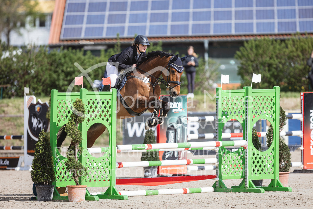 250419_Frühlingsfest_A-Stil1-439 | Deine schönsten Turniermomente als professionelle Fotos! Entdecke hochwertige Pferdesport-Fotografie im Online-Shop. Jetzt Fotos finden & bestellen!