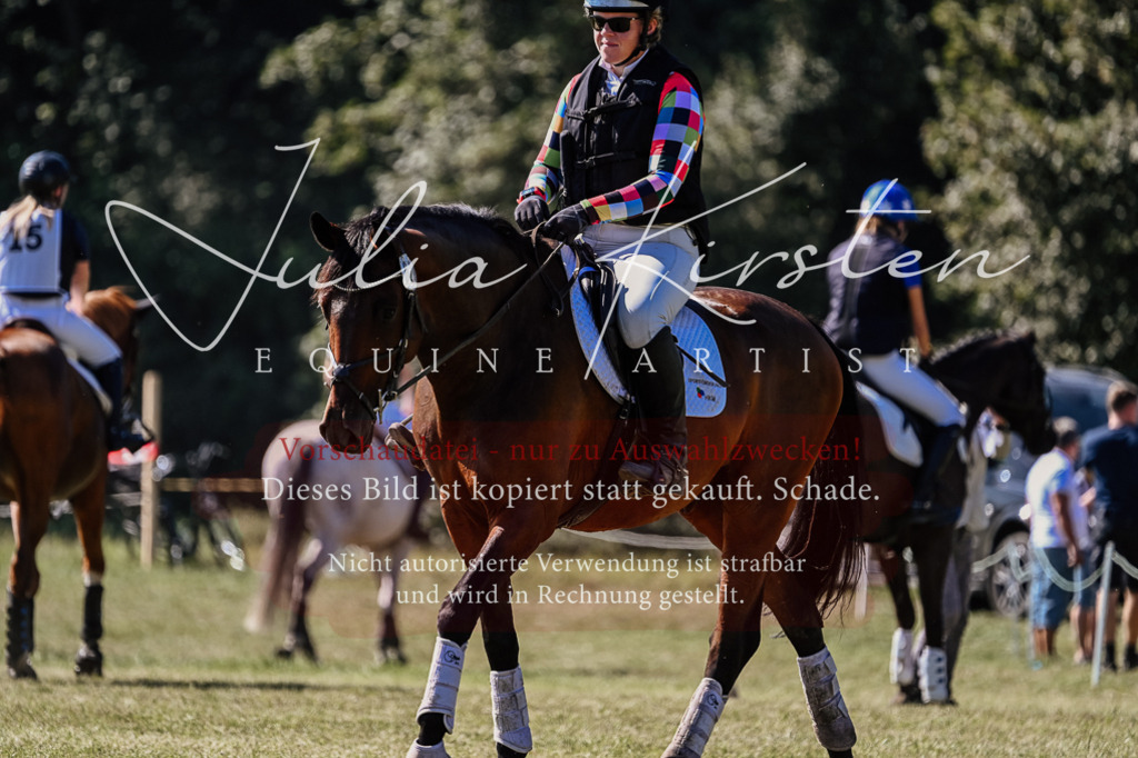 DSC_2575 | Pferde- und Turnierfotografie in Westsachsen. Pferdeportraits, Auftragszeichnungen und intuitive Kunst.